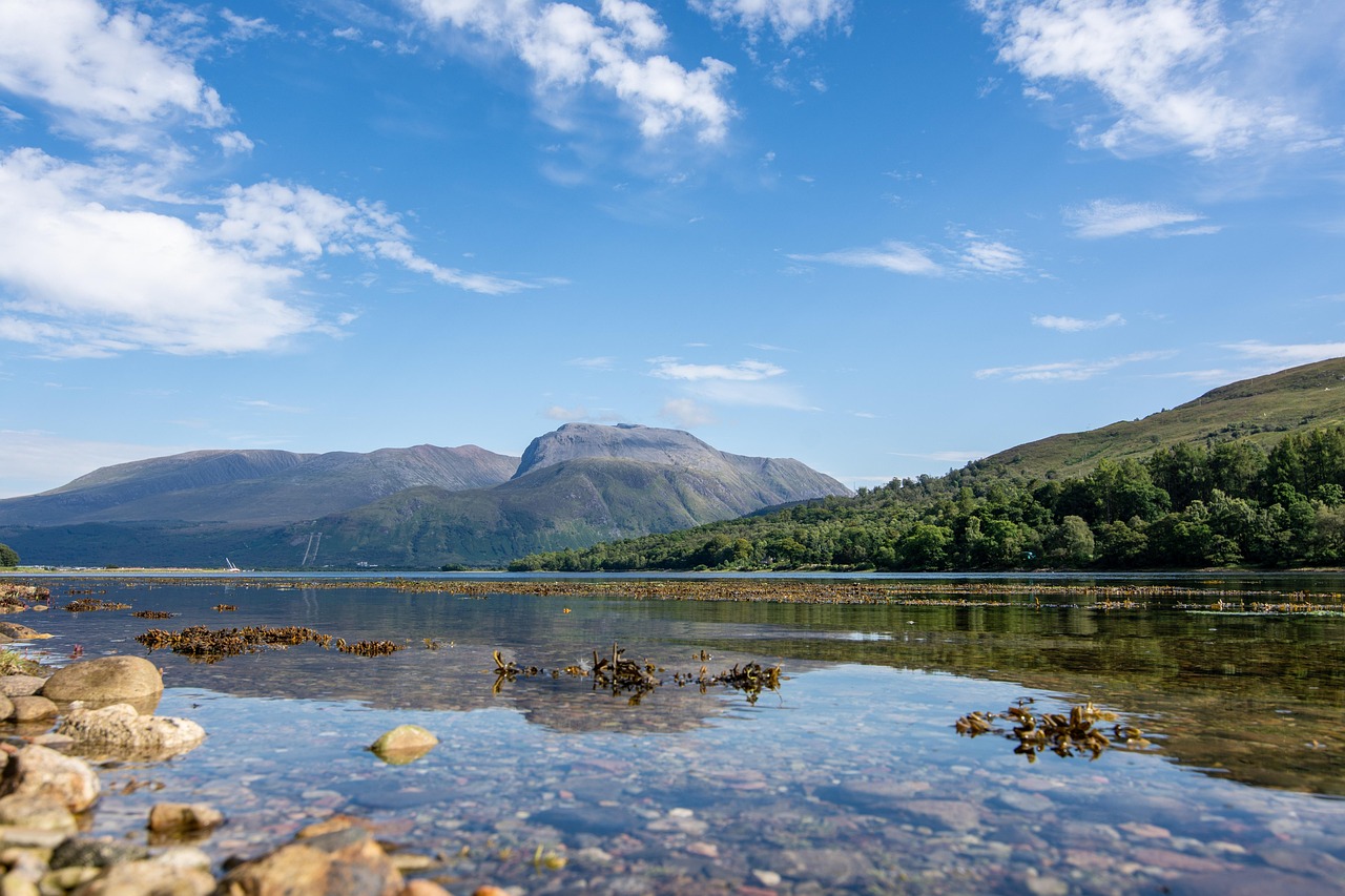 The Quiet Art of Sitting Still: Wildlife Photography at a Highland Loch